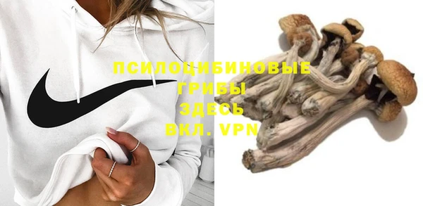 тгк Алексин