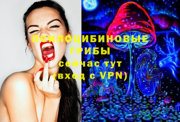 прущая мука Алзамай