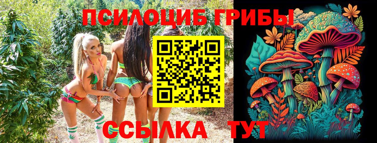 Псилоцибиновые грибы мицелий Коркино